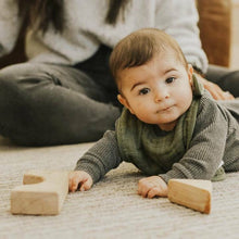 Load image into Gallery viewer, Muslin Classic Bib - Fern (3 pack)