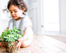 Load image into Gallery viewer, Muslin Classic Bib - Watercolour Roses (3 pack)