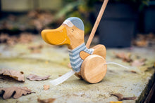 Load image into Gallery viewer, Duck Push Toy | Blue