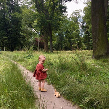 Load image into Gallery viewer, Hopping Bunny Pull Toy