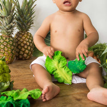 Load image into Gallery viewer, Brucy the Broccoli