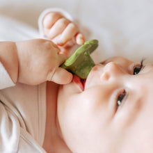 Load image into Gallery viewer, Eli the Clover