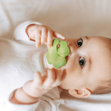 Load image into Gallery viewer, Eli the Clover