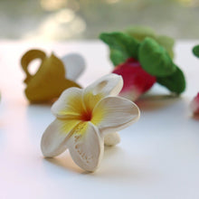 Load image into Gallery viewer, Hawaii the Flower