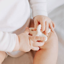 Load image into Gallery viewer, Hawaii the Flower