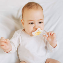 Load image into Gallery viewer, Hawaii the Flower