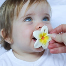 Load image into Gallery viewer, Hawaii the Flower