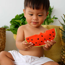 Load image into Gallery viewer, Wally the Watermelon