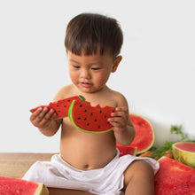 Load image into Gallery viewer, Wally the Watermelon