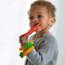 Load image into Gallery viewer, Wally the Watermelon